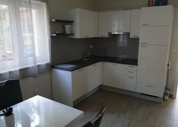 Aurea 프리모스턴